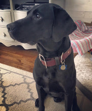 Load image into Gallery viewer, Custom Leather Dog Collars